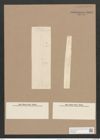 Pleurosigma angulatum var. elongatum (W.Sm.) V.H. (de-Toni-Nr.: Genus 13, Species 1001) Zeichnungen Sammlung Grunow Nr. 2008 (NHMW-BOT-W0368857)